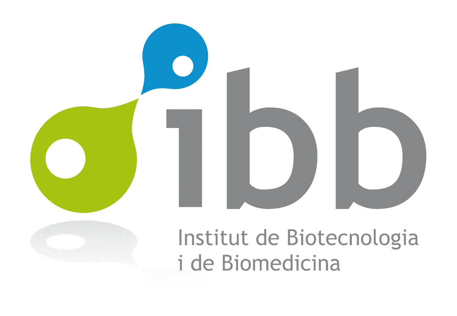 IBB